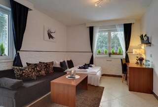 Отели типа «постель и завтрак» Pensjonat Safir Карпач Апартаменты с видом на горы-3