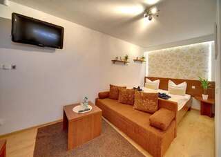 Отели типа «постель и завтрак» Pensjonat Safir Карпач Двухместный номер с 1 кроватью-4