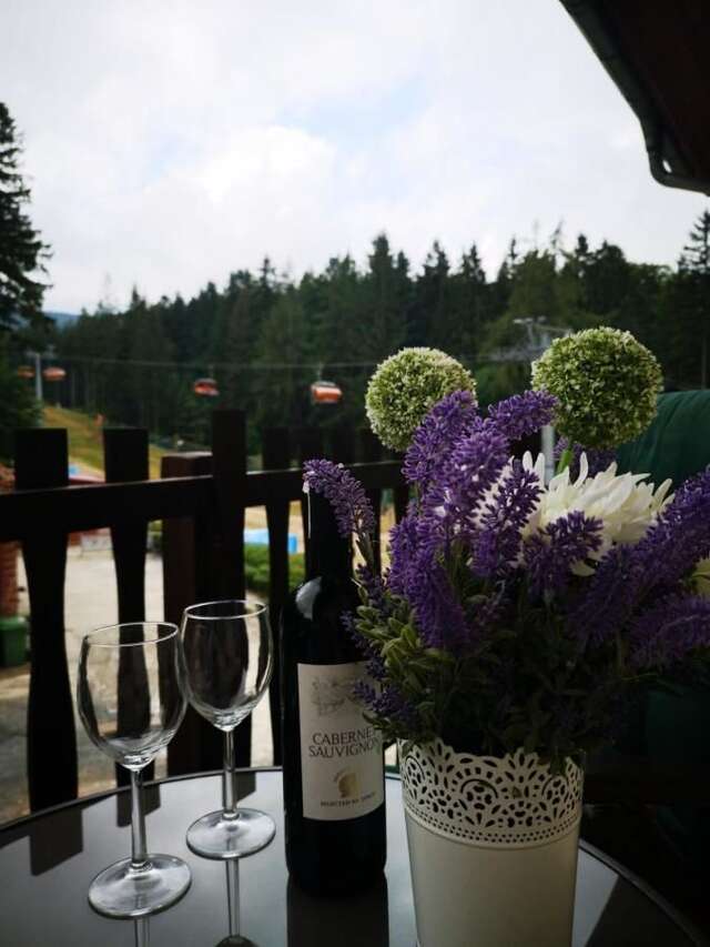 Отели типа «постель и завтрак» Pensjonat Safir Карпач-26