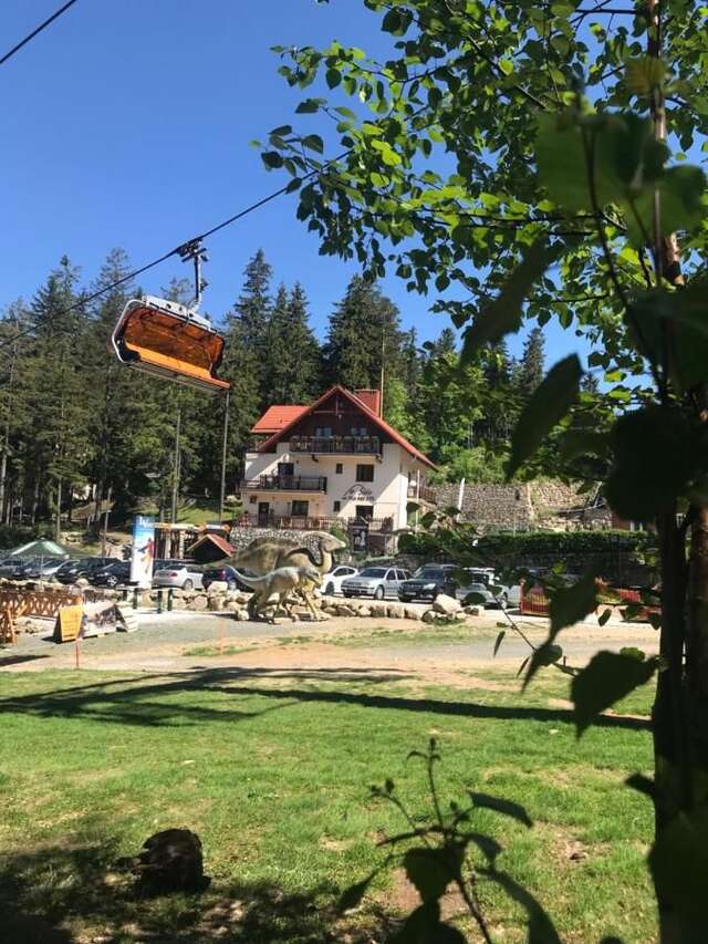 Отели типа «постель и завтрак» Pensjonat Safir Карпач-7