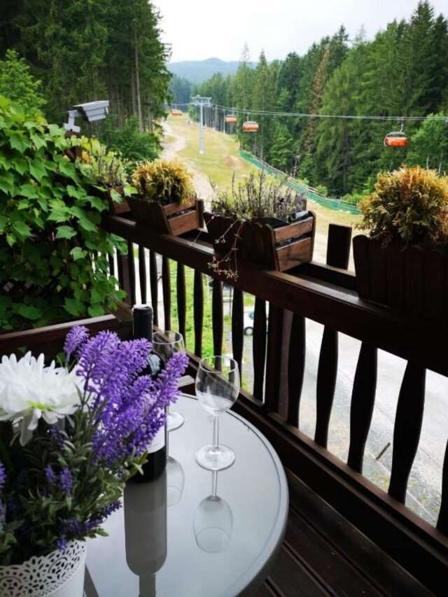 Отели типа «постель и завтрак» Pensjonat Safir Карпач-54